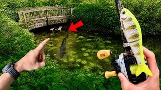 Miniature : 48h de pêche dans 3 rivières : ouverture du carnassier 2026 (COROS NOMAD & HYDROP)
