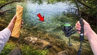 Miniature : Gros poissons pendant la fermeture grâce à cette technique ! (Pêche au pain en surface) 