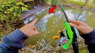 Miniature : Mission brochet : 48H entre nature sauvage et pêche urbaine