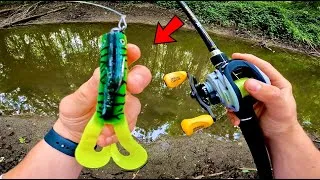 Miniature : Des poissons monstres dans cette minuscule rivière ! (Pêche aux leurres)