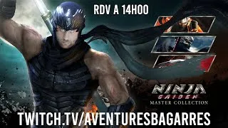 Miniature : Ninja Gaiden Back to 2004