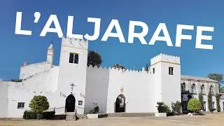 Miniature : L’Aljarafe, le territoire oublié de la Séville musulmane