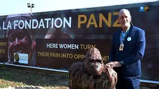 Miniature : Xavier Vincke - Conservation et humanitaire - Fondation Panzi RDC