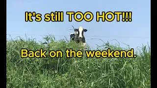 Miniature : 🇫🇷  It's Still TOO HOT in France! Back on the WEEKEND | Retirement Life | Climate Change | Ep 188