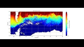 Miniature : August-November 2024 animation of iceberg detections overlaid on multi-sensor SST