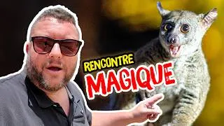 Miniature : Kili Springs Camp : Le secret le mieux gardé du Kenya (Bush Babies & Massaïs) 🇰🇪 ep.13
