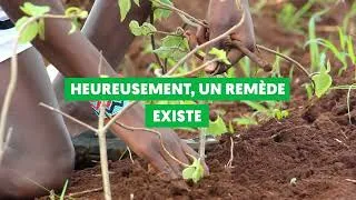 Miniature : Cultivons notre santé !