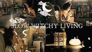 Miniature : A cozy & crafty witchy summer, garden tour, herbalism, slow evening magic / slow living / sorcière