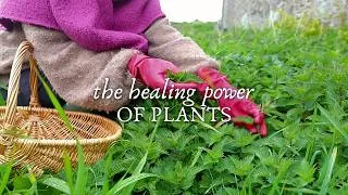 Miniature : 3 witchy plants & recipes ☽ The healing power of plants | homemade | plantes sorcières & médicinales