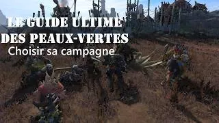 Miniature : Le Guide Ultime des Peaux-vertes : Choisir sa campagne