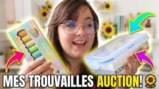 Miniature : HAUL DE QUALITE - Normal, action & sostrene grene 🌻