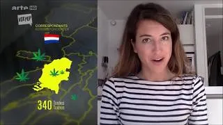 Miniature : [ Vox Pop ] LES MILLIARDS DU CANNABIS