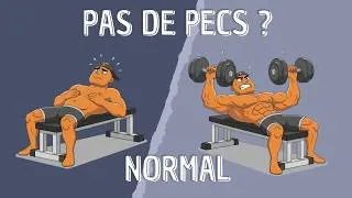 Miniature : Tes Pectoraux Ne Grossissent Pas ? Voici Pourquoi.