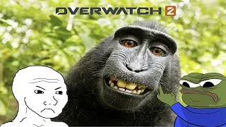 Miniature : LE PIRE INVITE (Overwatch 2)
