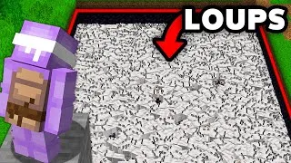 Miniature : J'ai dressé 1032 Loups afin de Battre ce Joueur sur Minecraft..