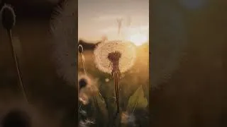 Miniature : Méditation Chantée 🌿 Relaxation Profonde & Guérison Intérieure
