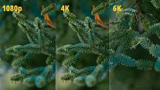 Miniature : La meilleure résolution pour vos vidéos | 1080P vs 4K vs 6k