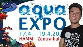 Miniature : REPORTAGE AQUARIOPHILIE : AQUAEXPO XXL 2026