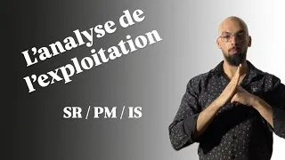 Miniature : L'analyse de l'exploitation: SR / PM / IS