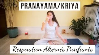 Miniature : PRANAYAMA // Nadi Shodhana // Respiration alternée purificatrice // 10 minutes
