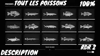 Miniature : Tout Les Poissons Red Dead Redemption 2