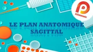 Miniature : #plan_sagittal واش هو؟؟