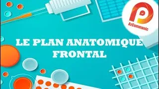 Miniature : #plan_frontal واش هو؟