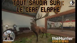 Miniature : TOUT SAVOIR SUR : LE CERF ÉLAPHE | The Hunter Call Of The Wild | FR