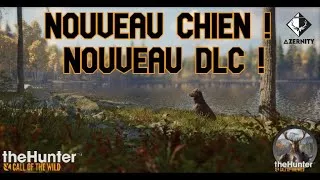 Miniature : NOUVEAU CHIEN ! Le nouveau DLC annoncé | TheHunter Call of the wild | FR