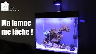 Miniature : TEST REDSEA REEFLED 50 - APPLICATION REEFBEAT
