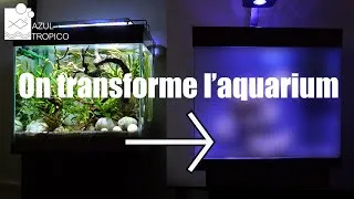 Miniature : AQUARIUM RECIFAL SANS ECUMEUR - TUTO COMPLET