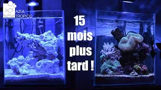 Miniature : AQUARIUM NANO RECIFAL FACILE - 15 MOIS PLUS TARD