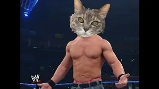 Miniature : Bob le Chat VS La Foudre