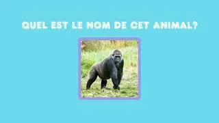 Miniature : Trouve le nom des animaux de la jungle ! |🎨Babygum 