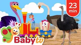 Miniature : L'autruche, l'oiseau le plus rapide | Infos animaux @BabyTVFR