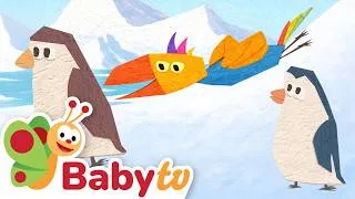 Miniature : Tucky peut-il se dandiner comme un pingouin ? | Le comportement des animaux | BabyTV