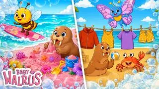 Miniature : 🌈👕 Apprends les Couleurs et les Vêtements ! Premiers Mots 0-2 | Compilation | Baby Walrus
