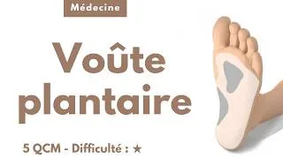 Miniature : Voûte plantaire