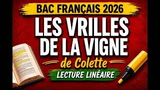 Miniature : Lecture linéaire "Les vrilles de la vigne" Colette ( Oral bac français ).