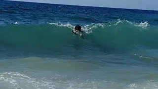 Miniature : Boom de retour à la mer, ca faisait longtemps