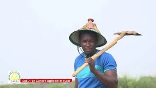 Miniature : SAED CONSEIL AGRICOLE ET RURAL GFRAS