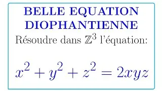 Miniature : Diophantine equations #numbers #numbertheory #arithmétique #baccarat #olympiad #olympiades