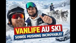 Miniature : On n'imaginait pas vivre ça... Chien de traineau et aventure en van !