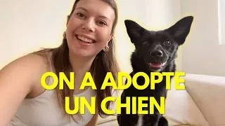 Miniature : On a adopté un chien ! Son histoire et nos conseils