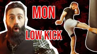 Miniature : Ma forme de low kick ! - Qu'est ce qu'on panse ? 02
