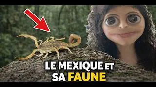 Miniature : Le Mexique est trop intense pour moi