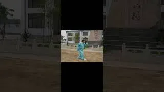 Miniature : BajiQuan SiLangKuan (四郎宽) by Mr Wu LianZhi