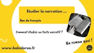 Miniature : Étudier la narration