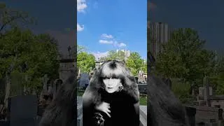 Miniature : Paris, cimetière du Montparnasse, Birkin, Gainsbourg, Rykiel, Belmondo, Chirac, Christophe 