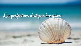Miniature : La perfection n'est pas humaine !
